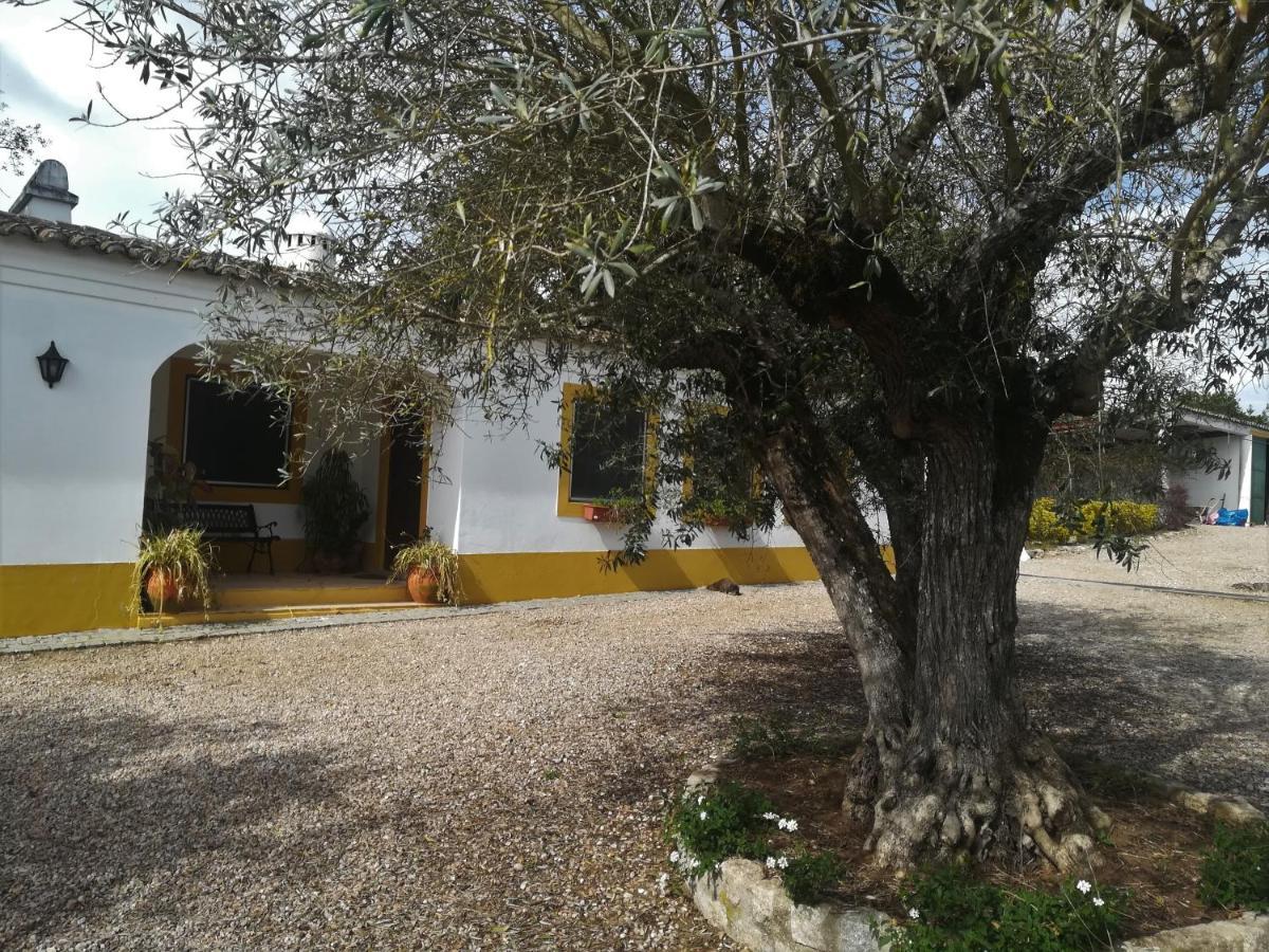 Quinta Do Cano Évora Exterior foto